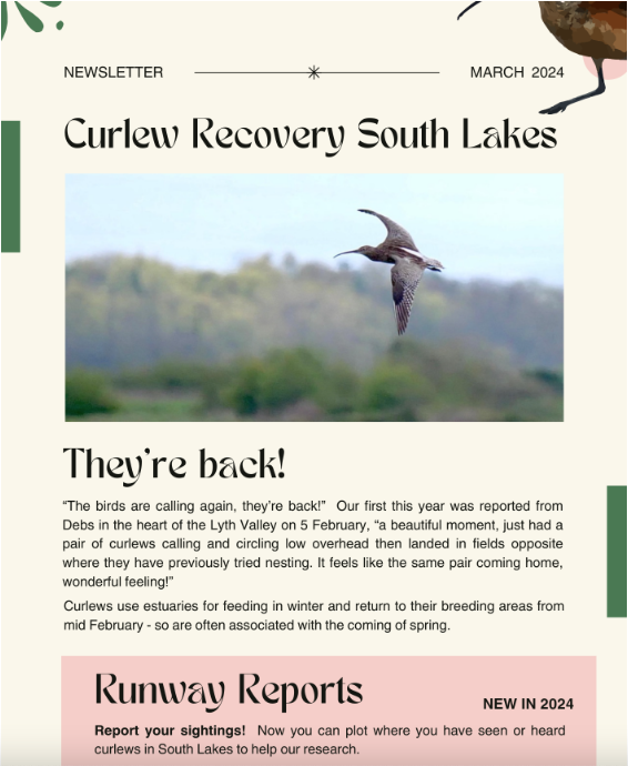 CurlewSLakes's tweet photo. They're back! 
Read our newsletter here: https://t.co/bTogdb1OD0
And sign up here: https://t.co/c3HIHsW2aq https://t.co/XVQ6nfCEr7