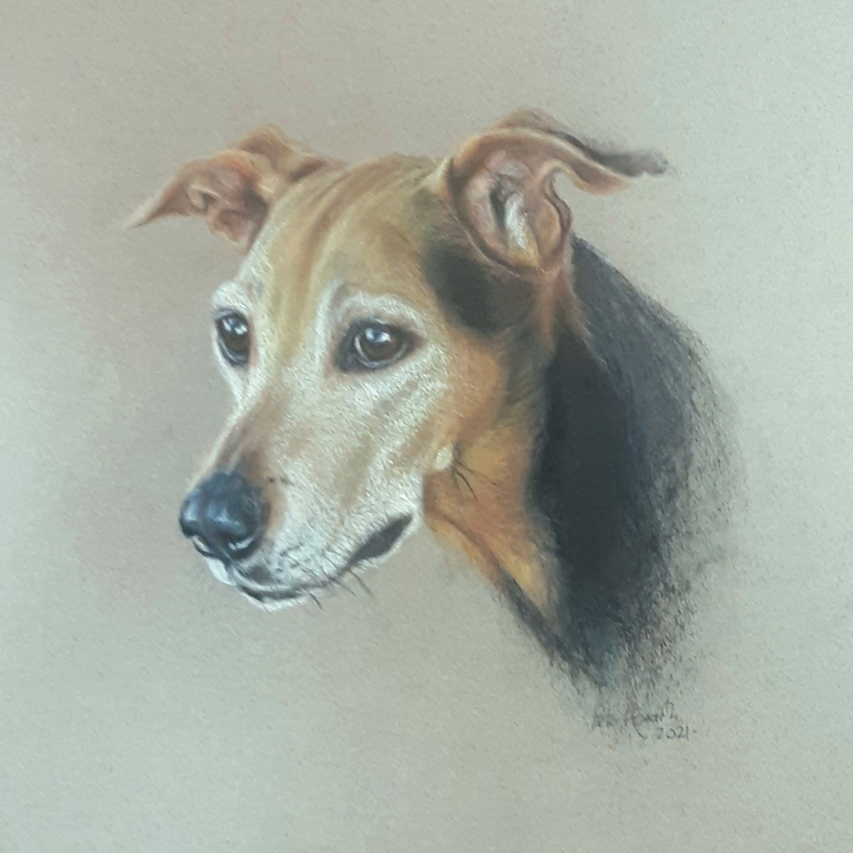 I was commissioned to create this portrait as a memorial to a much loved and faithful companion.  -soft pastels on Canson Mi Teintes paper,  2021 😊