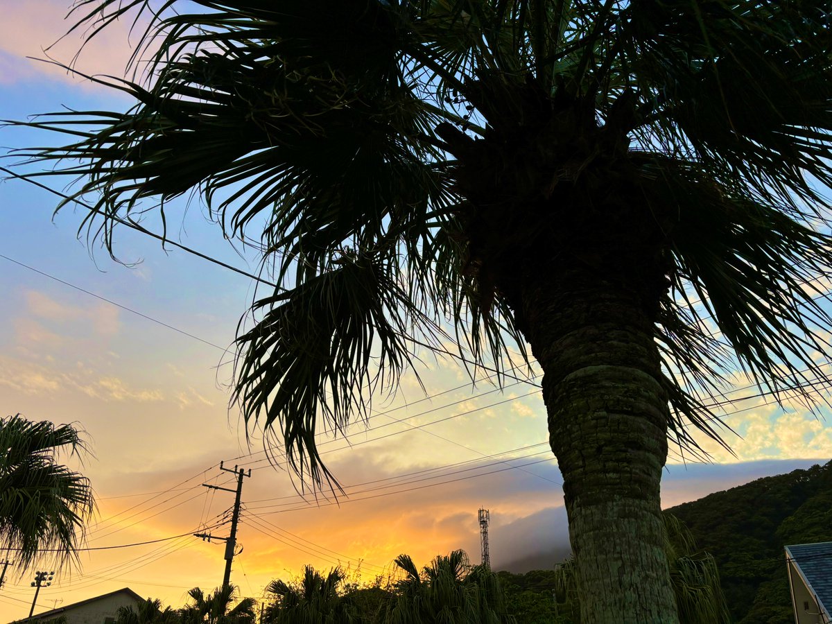 夕焼け綺麗な八丈島
美しい鰭　美しい島🏝️
#八丈島