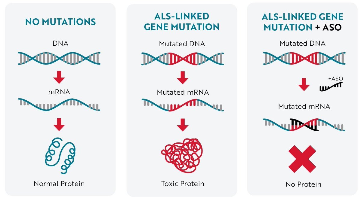 #Health accepts for review a new drug submission for #Tofersen for the treatment of a rare, genetic form of ALS
#SOD1- ALS is a devastating, uniformly fatal, and ultra-rare genetic form of #ALS that represents approximately two percent of all ALS cases