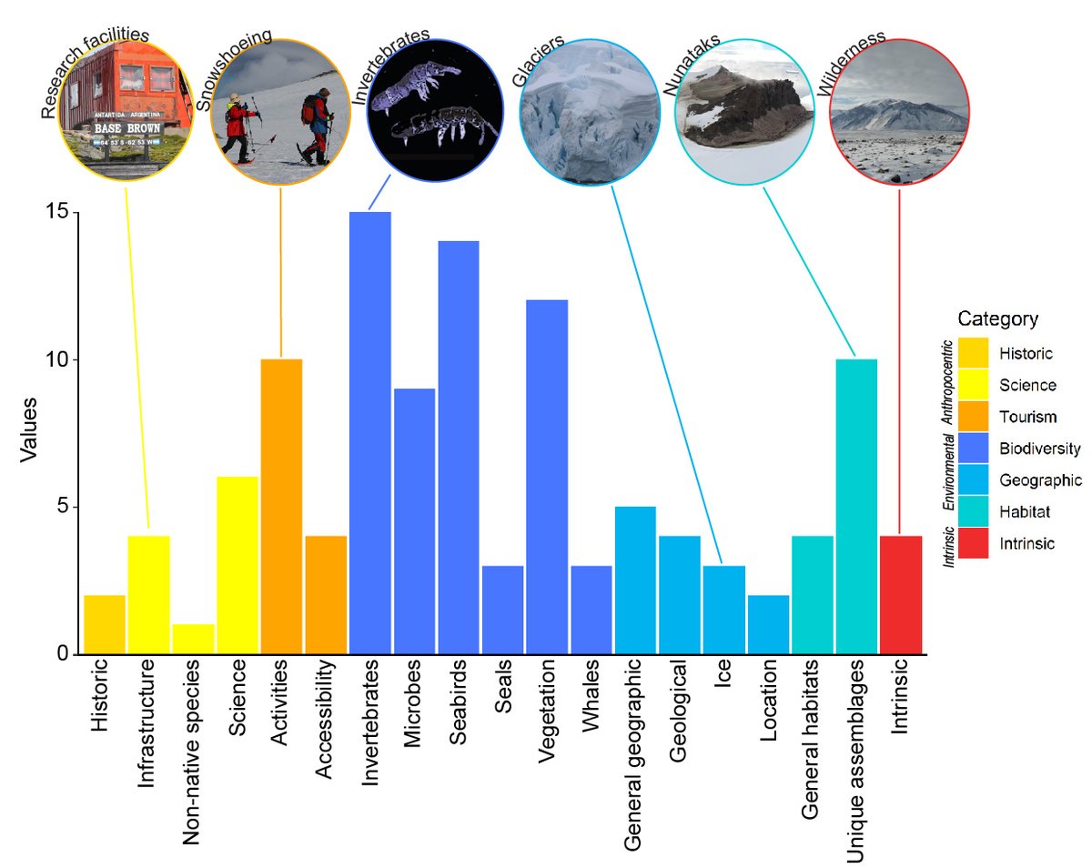 🥳 Our new paper is out in @Ambio_Journal! We identify features of #conservation value in the #Antarctic Peninsula region 🇦🇶🐧! I'll give you the summary 🧵 doi.org/10.1007/s13280…