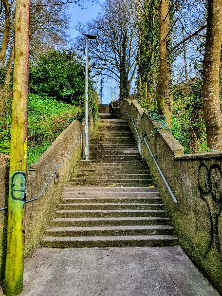 If Ronan O'Gara doesn't bring the La Rochelle lads up and down the Burma steps in Cobh a few times while he has them training in Fota Island for the week, he's seriously missing an opportunity 👟🏉 #ChampionsCup #LaRochelle