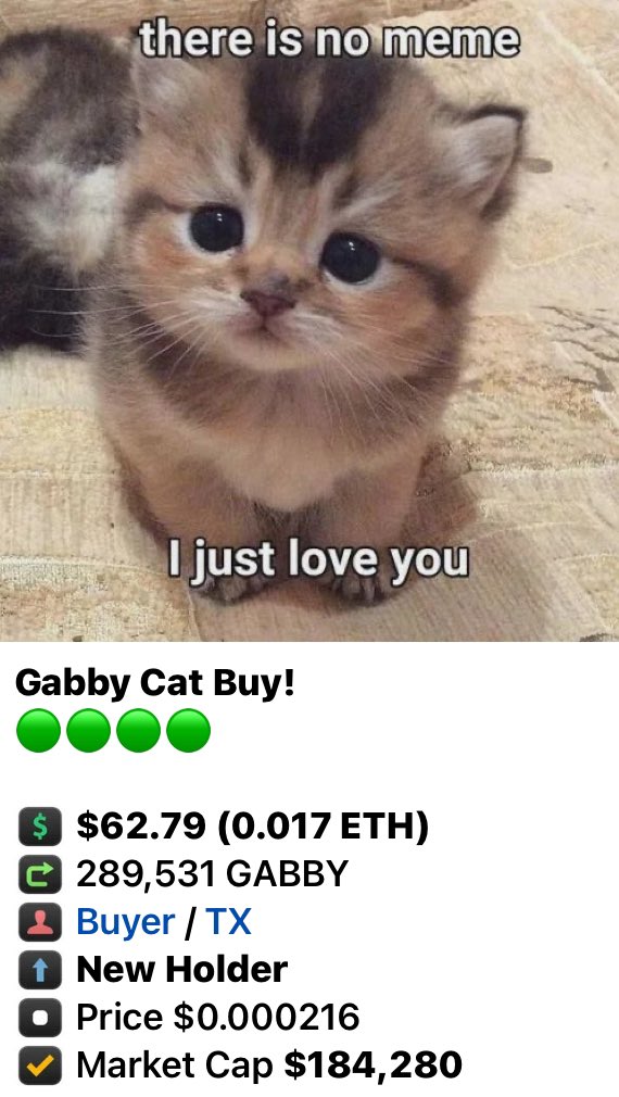 GAV_OG's tweet photo. You’ve seen $GABBY on your TL so don’t make this a regret as you can still grab a little moon bag of a million coins for around $250. Team is cooking and announcements are coming but you are running out of opportunities to be early, real early. The only Cat Meme tweeted by @elonmusk 🐈📈🚀 @GabbyCatETH 
#memecoin #memecoins #MemeCoinSeason #BTC #MemecoinSeason2024 #Bullish #BullishAF #BullMarket #1000xGems #ETH #cats #CatsOnTwitter #Catizen #cat #cats #CatCoinKingdom 
$SORA $PIXEL $DOGE $DUKO $WIF $WEN $BONK $GME $JUP $HONK $W $DYM $BLSTR $METIS $ALEO $RNDR $MON $ALT $TIA $SOL $PEPE #BabyDoge #Airdrops $PBUX $PORK $Block $NVDA $DUKO $TRUMP $TREMP