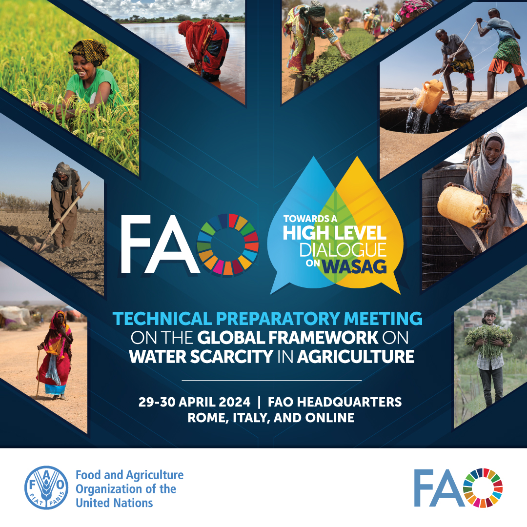 Register to the upcoming event 'Towards a High-level Dialogue on the Global Framework on Water Scarcity in Agriculture (#WASAG) - Technical Preparatory Meeting' 🗓️29-30 April 2024 ⏲️FAO headquarters, Rome, Italy & online View the agenda & register here ➡️tinyurl.com/5f42cs5u