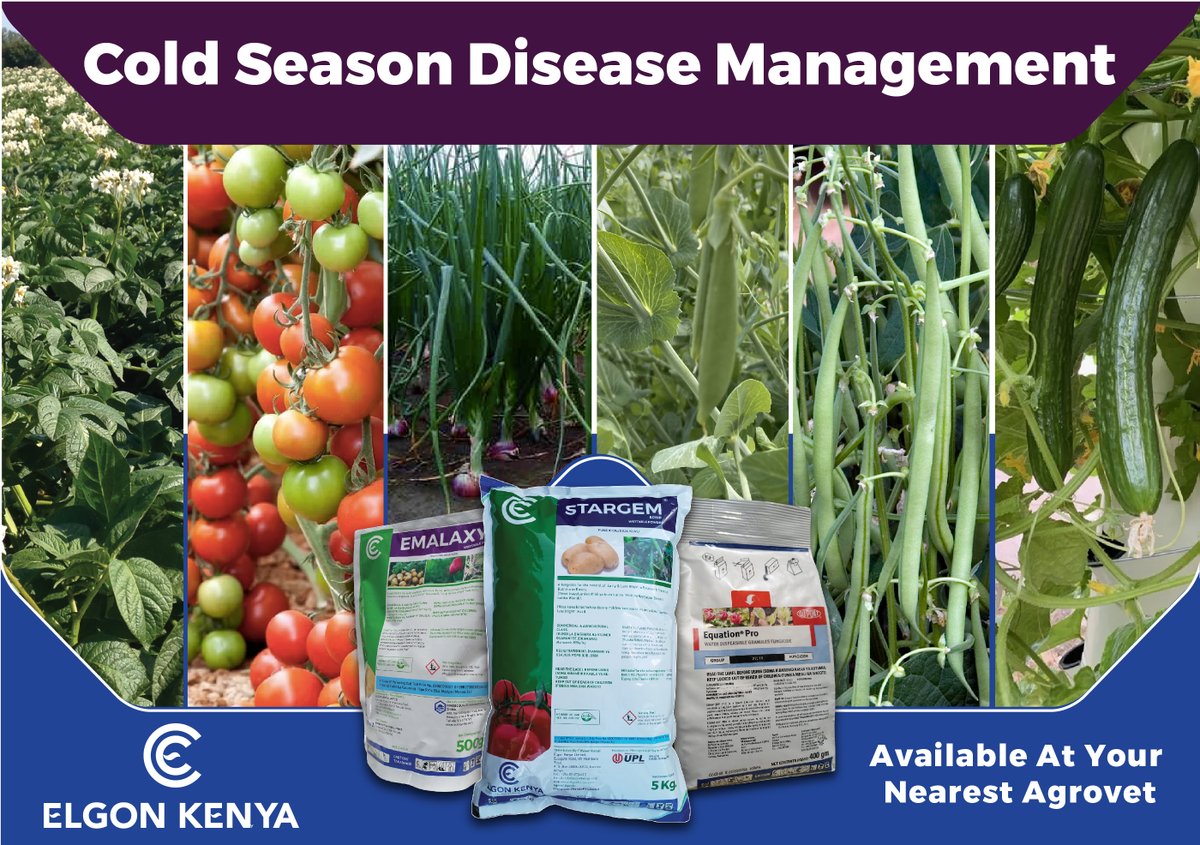 This rainy season, protect your crops from diseases like Downy Mildew, Early and Late Blights, Powdery Mildew, Rust and Anthracnose with our broad spectrum and penetrating FUNGICIDES. Keep your crops safe and thriving throughout this rainy season. #earlylateblight #fungicides
