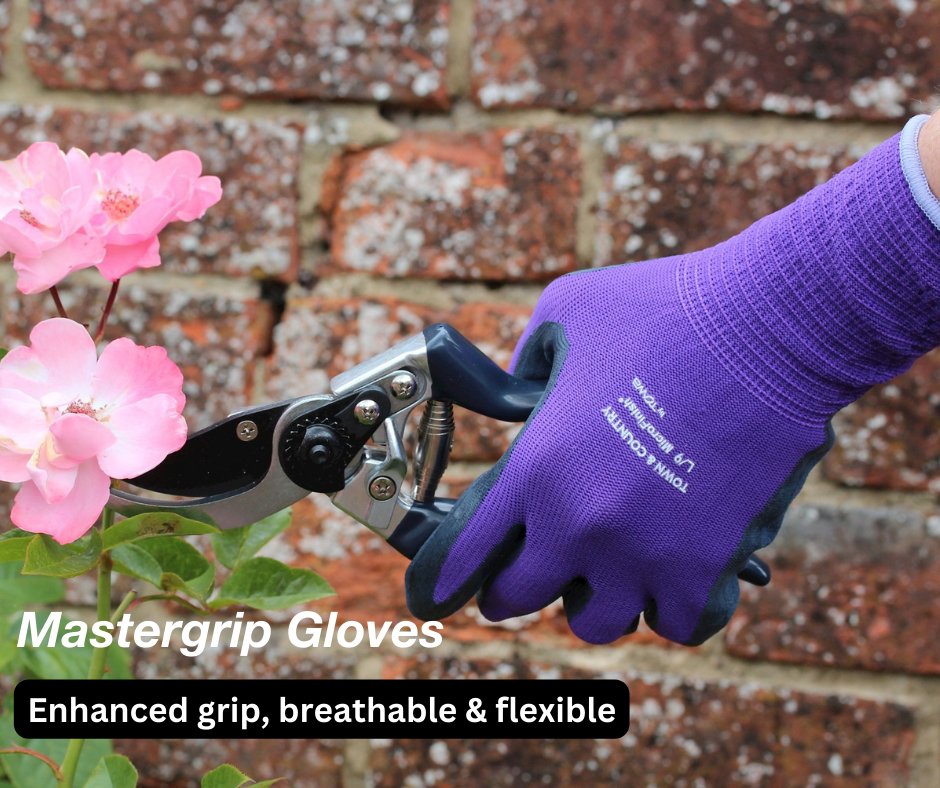 Everyday protection and enhanced grip in both wet and dry conditions, find out more about our Purple Mastergrip Gloves 🧤tinyurl.com/47cbu2yb

#LoveLifeOutdoors #townandcountryuk #gardening #gardeninguk #gardengloves #gardenfootwear