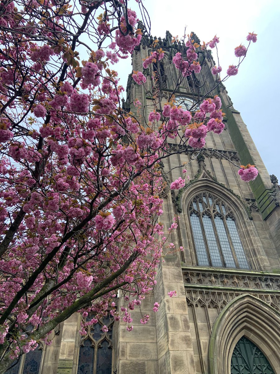 The weather may not be cheery this week, but the spring blossom in the Minster grounds is certainly brightening our mood! Looking for a moment of quiet in the city? The Minster is open as usual this week, Tuesday to Saturday 11-2 Everyone is welcome to come and explore