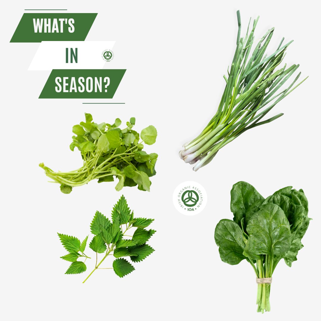 What's in season?

Plenty of green bounty - watercress, spring nettles, spinach and spring onions.

Which is your favourite?

#demandorganic #organic4everyone