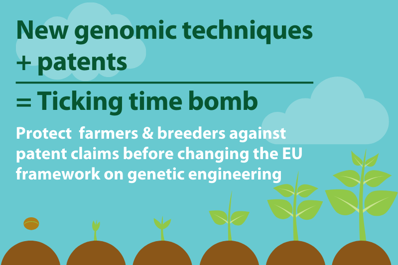EU Biotech Dir 98/44 allows processes & products of GE to be patented, threatening free circulation of genetic resources among breeders. Patents 💢 extend to crops & traits found in nature or conv breeding 💢 have even been granted for conv bred crops 🧐👉 ow.ly/HEeQ50RaGYX