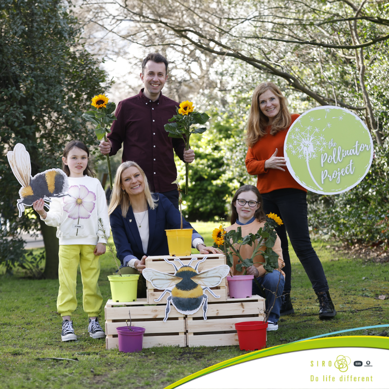 SIROIreland's tweet photo. Join the revolution of Irish pollinators! 🌸 We’re delighted to announce our partnership with Biodiversity in Schools on the 2024 Pollinator Project, which raises awareness with school children on the important role of pollinators 🐝
#DoLifeDifferent #BiodiversityinSchools