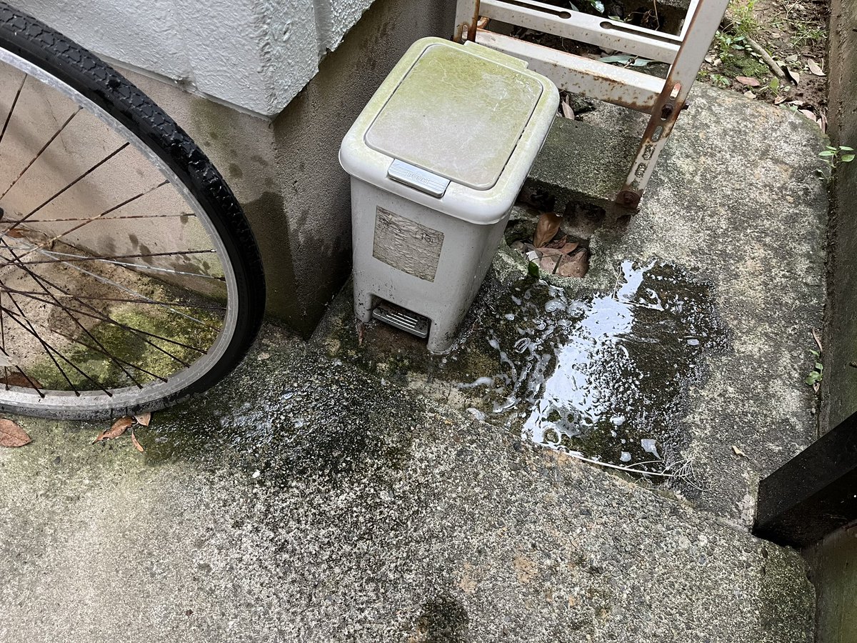 fuk_noshon's tweet photo. 上げ直し④
アパートの駐車場で。
朝イチの散歩中にめっちゃ出たやつww
(というかこれするための散歩w)
#裏アカ男子 #野外放尿 #おしっこ https://t.co/jEs7OZDdPe