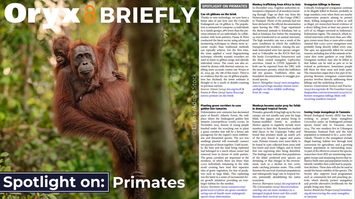 Catch up on some recent news from the #conservation field. Our latest Briefly section features a spotlight on primates, plus a host of other news from around the globe 🌍 Find it here👉 doi.org/10.1017/S00306…