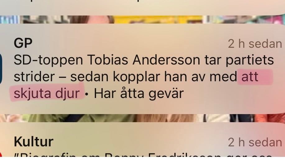 Eller som man också kallar det: Att jaga.