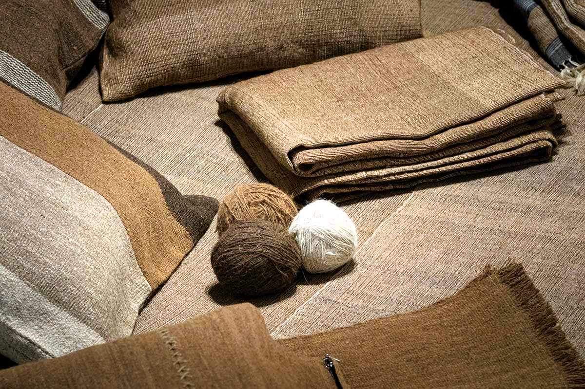 BCAmagazine's tweet image. Camel wool products from Central Asia; for more info kindly visit facebook.com/businesscentra… #camelwool