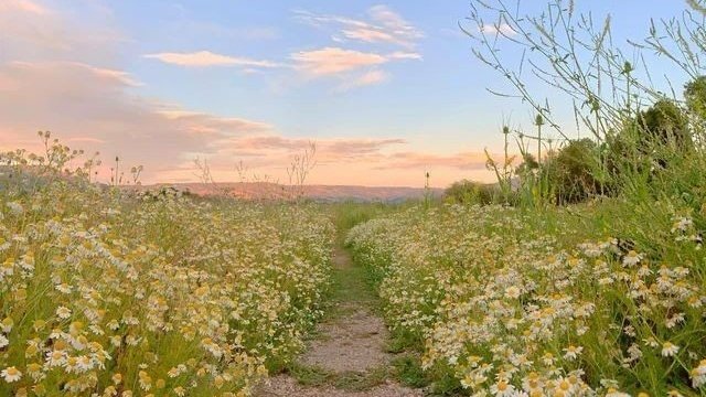 moodyonmoon's tweet photo. 🌥️🌸☁️ https://t.co/dpVeppEP91
