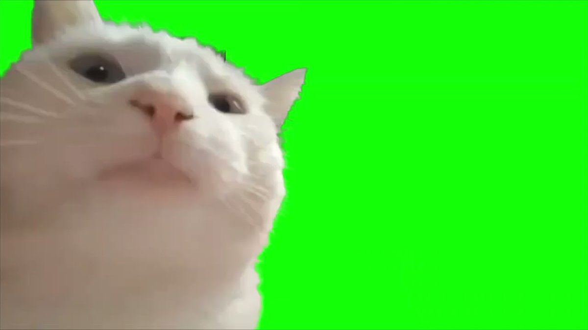 vibingcatcatjam's tweet photo. Viral twitch and tiktok Vibing Cat meme is now on Solana $CATJAM

https://t.co/kiVuvpZ2kl https://t.co/Nqa9uxBPo8