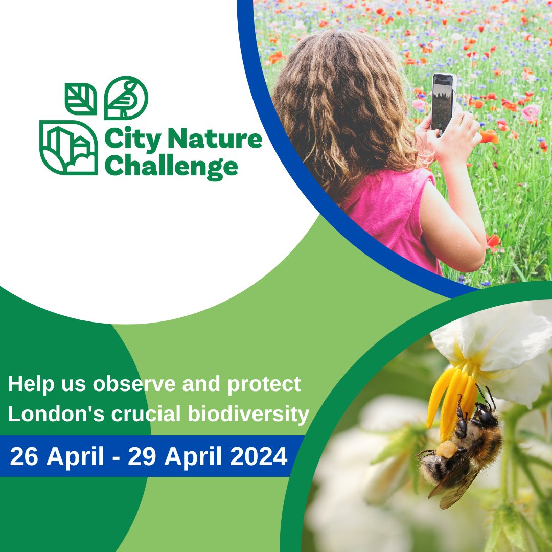 It's that time of year again... #CityNatureChallenge is upon us! 🌳🌆 It's an international event in which people all around the world, find and document wildlife in their cities. Join us and find out more here: nhm.ac.uk/take-part/moni…