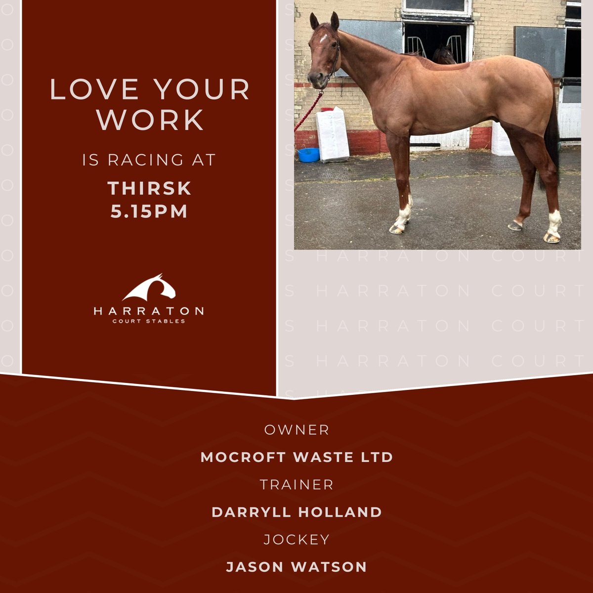 Love Your Work is ready for Thirsk 5.15! Good luck to owner Mocroft Waste Ltd, trainer #DarryllHolland and jockey @_JasonWatson 🍀 #LoveYourWork