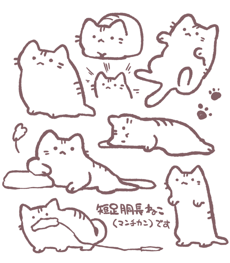 ねこです 