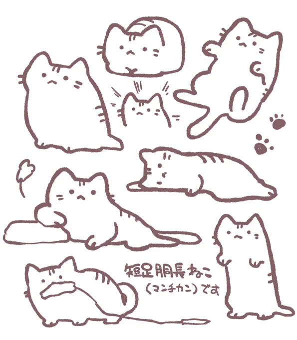 ねこです 
