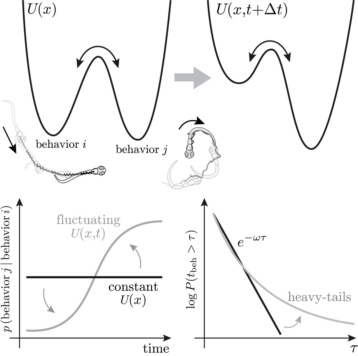 We show, using a combination of data analysis and theory, that behavioral plasticity, or adaptation, is enough to explain the widespread observation of heavy tails in animal behavior. All you need is slowly varying transition rates!  4/12