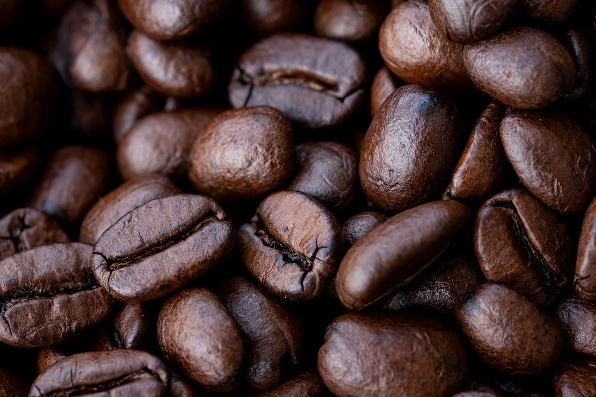 📢We are hiring 4 PhD students interested in deforestation and coffee in Vietnam
econ.ku.dk/derg/current-p…