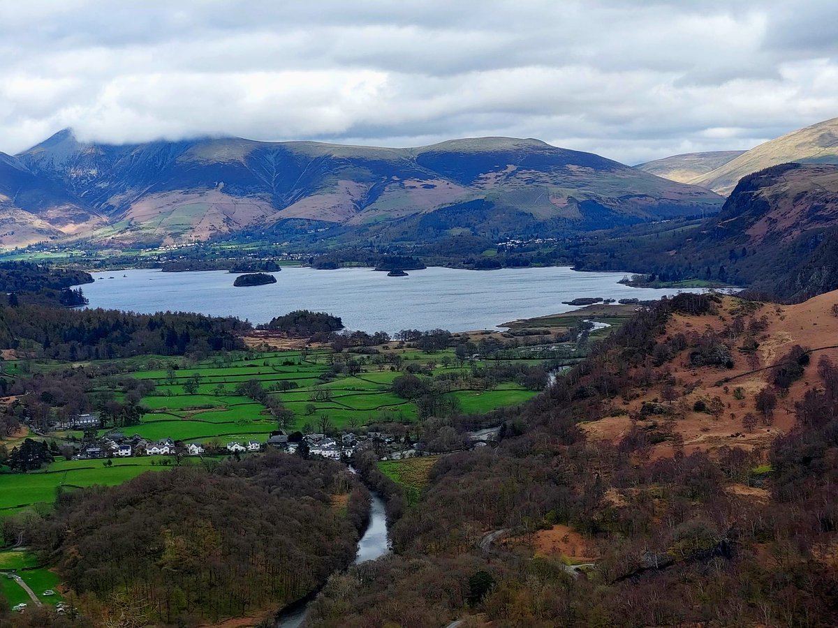 Abs 🦄 tweet media