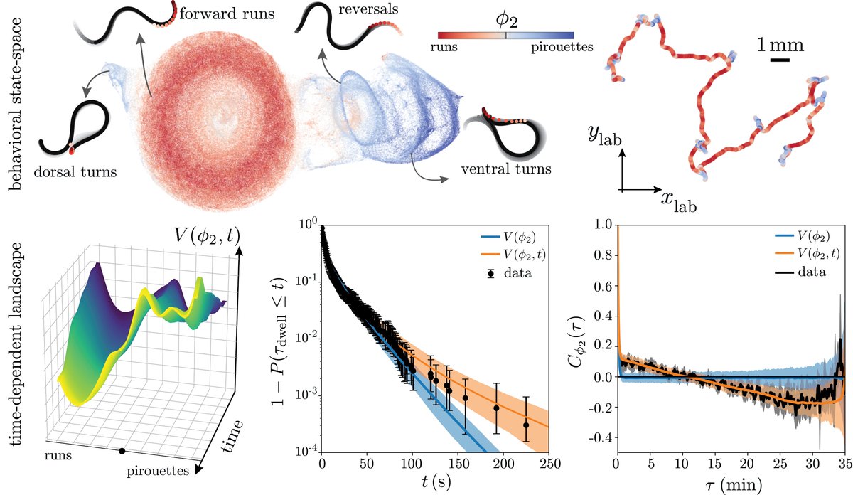 By directly inferring reduced-order stochastic models, we show that to explain the observed heavy-tailed distributions and long-range correlations, we need explicitly time-dependent model parameters that map onto a fluctuating potential landscape  6/12