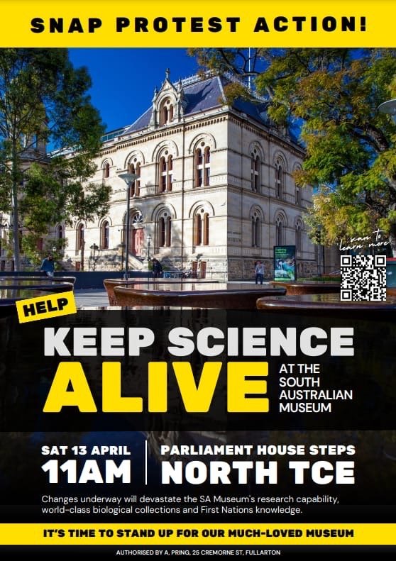 There's a 'spill and fill' process going on at the South Australian Museum at the moment. Existing collection manager positions & research positions are being disestablished. We're not sure what will replace them. Worried? Rally on the steps of Parliament, this Sat 11 a.m.!