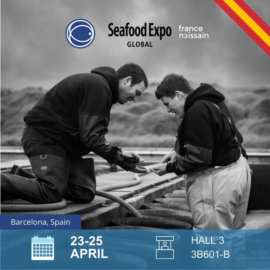 🌍 Nous sommes ravis de participer au Seafood Expo Global (<a href="/seafoodexpo_gl/">Seafood Expo Global/Seafood Processing Global</a>) à Barcelone du 23 au 25 avril. Retrouvez <a href="/FranceNaissain/">France Naissain</a> au stand 3B601-B #SeafoodExpoGlobal #SEG24 #Oysters #Oysterseed #TasteFrance #Barcelona