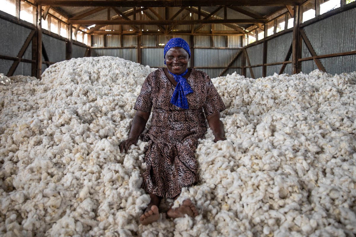 Here's to strong, independent women farmers 💪 breaking barriers & thriving in agriculture. @WFP 🇹🇿 is proud to be part of their journey #LeaveNoOneBehind #agriculturetransformation