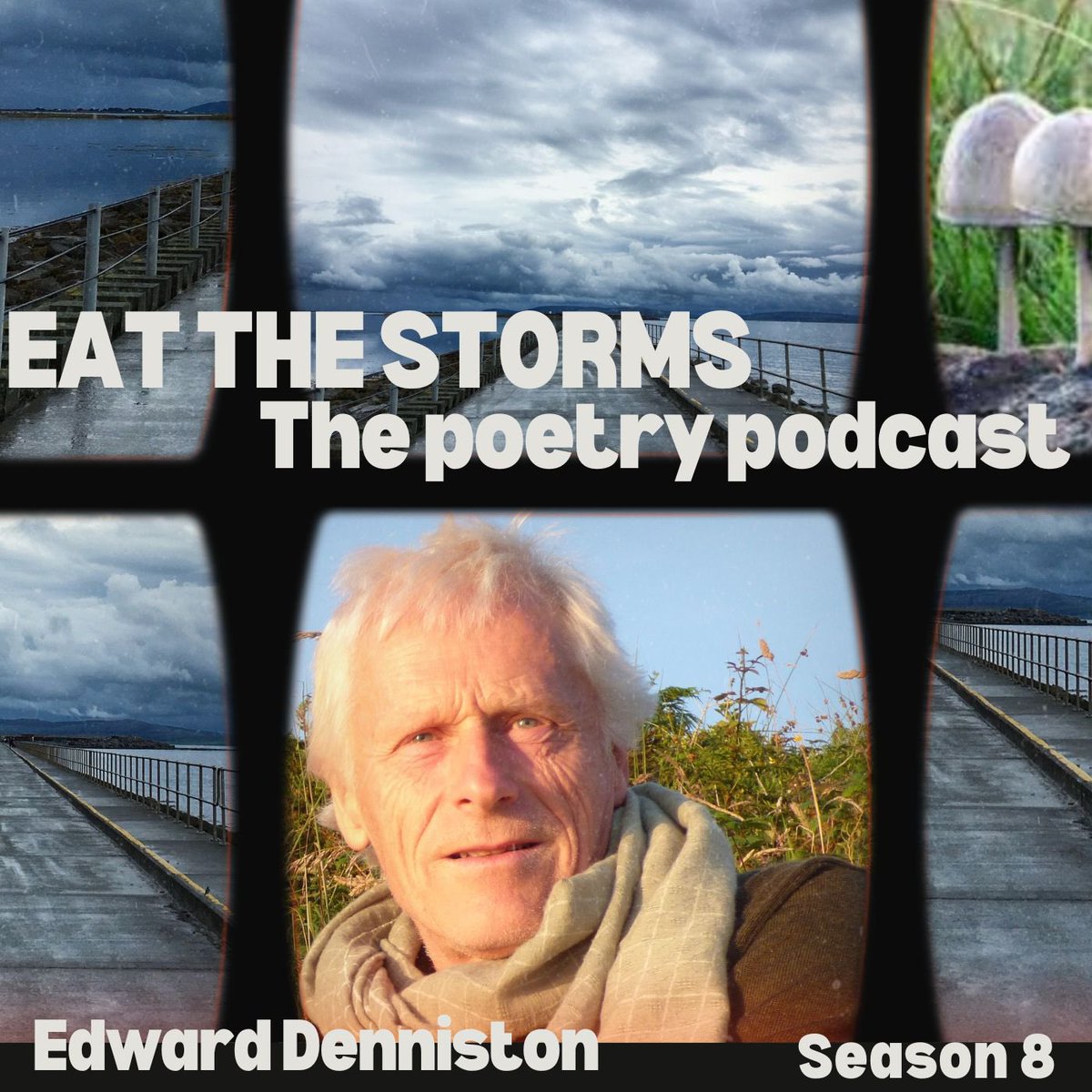 This Saturday on your favourite #poetry #podcast we’re celebrating upcoming, new & recent poetry pamphlets & collections including VITAL, the latest collection from @EdwardDenniston Swing by from 5pm on your preferred podcast platform to Stay Bloody Poetic 😉💙