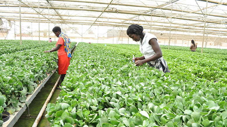 LafabSolutions's tweet image. April serves as a poignant reminder of our responsibility to safeguard our planet for current and future generations. At Lafab Solutions, we&apos;re committed to minimizing our environmental footprint through eco-friendly initiatives.