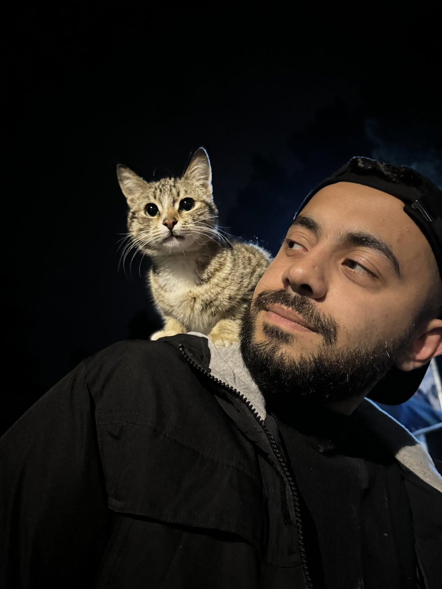 elvnhsyn's tweet photo. 🐈 https://t.co/o4qrzpZjJU