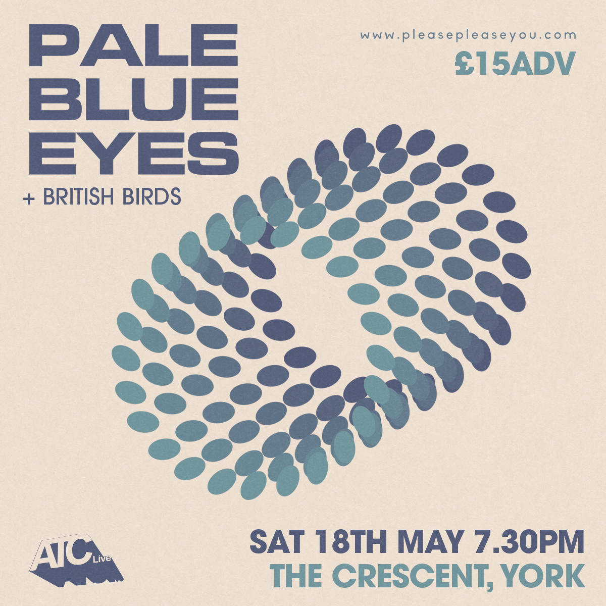 Very pleased to welcome Chorley 5-piece @itsbritishbirds to York next month. Fuzzy, DIY-psych-pop. Good stuff! They open for south coast shoegaze-y pop trio @pbemusic at @TheCrescentYork on 18th May. >> pleasepleaseyou.com