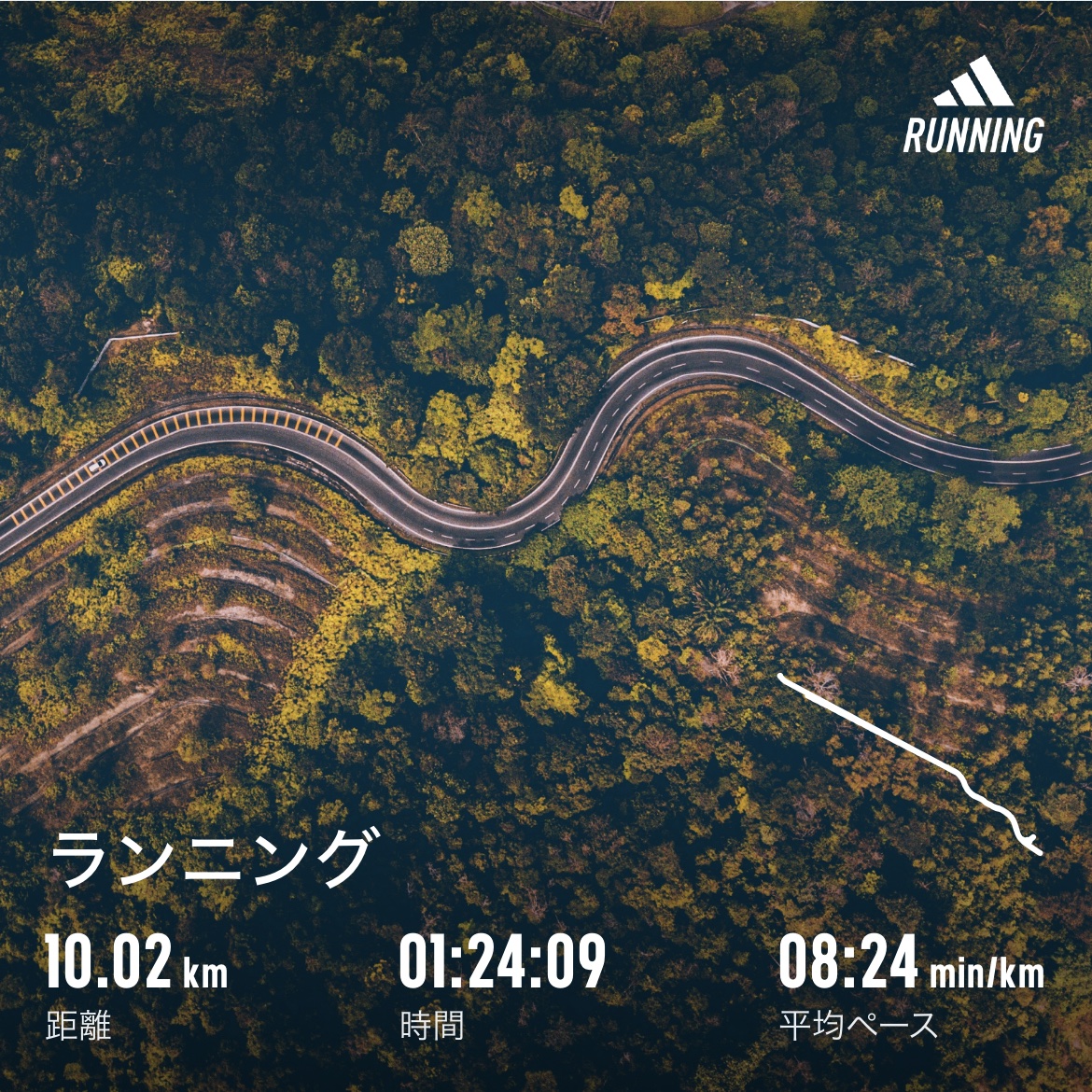 最近はランニングも頑張ってます🏃‍♂️
暖かくなって来ましたしね✨
今日は10kmも走れました✨