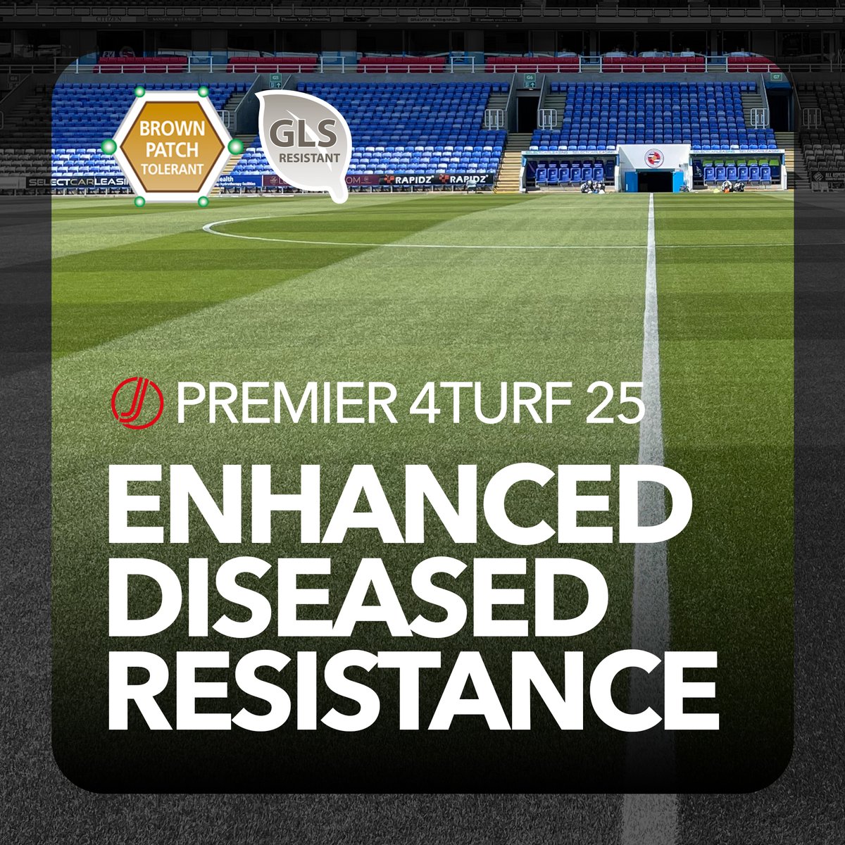 With the addition of the new Fiesta 4 cultivar, which was identified as the most tolerant variety to Grey Leaf Spot in DLF trials, and the mix's rapid establishment, J Premier 4Turf 25 is the ideal grass seed for pre-season, mid season and end of season renovations.