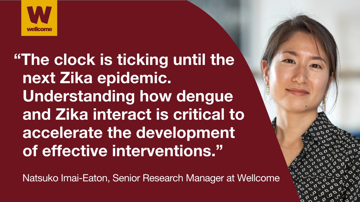 Dengue and Zika can co-circulate in human populations. They are also cross-reactive, meaning an infection with one virus can affect a person’s immune response to the other. But data on this, which is key to designing effective interventions, are limited. [1/4]