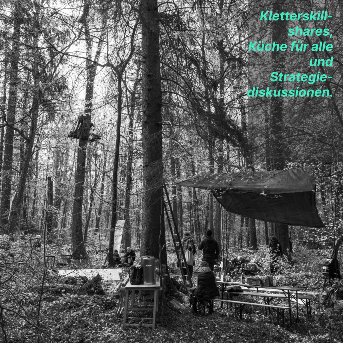 WaldstattRepression tweet media