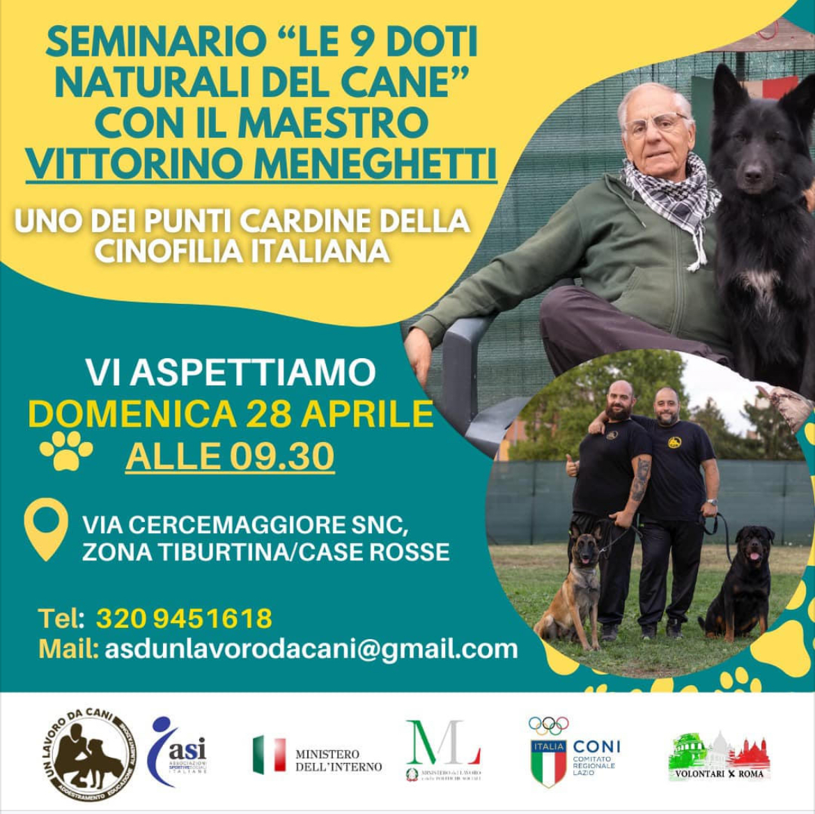 Domenica 28 aprile, presso il Centro Cinofilo in via Cercemaggiore snc (zona Tiburtina - case rosse), si terrà un Seminario dal tema 'Le 9 doti naturali del cane' Per info e prenotazioni: Paolo Cusintino 320 945 1618 Email asdunlavorodacani@gmail.com