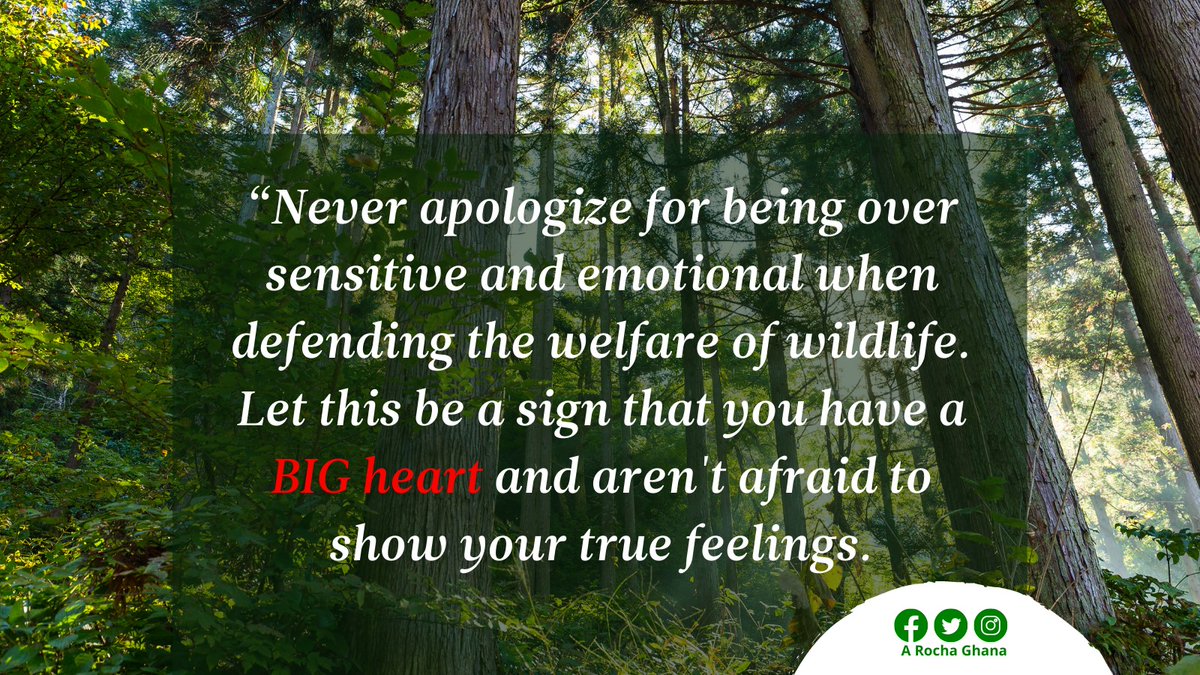 These emotions give you the strength to fight for what is right and to be the voice of those who cannot be heard. No retreat; No Surrender, we will keep defending, protecting and conserving #NATURE