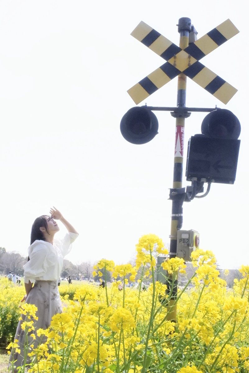 過去⇔現在⇔未来🌼 Location : 昭和記念公園 Model : 菜乃花さん @nanokaphoto #昭和記念公園 #立川 #春 #モデル #被写体 #ポートレート #portrait #キリトリセカイ #ファインダー越しの私の世界 #写真好きな人と繫がりたい