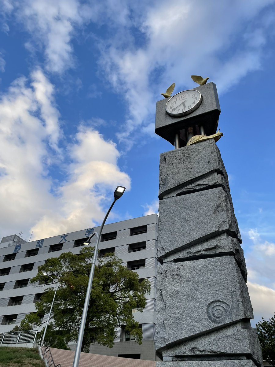 ヤマシギの剥製 Amazon | タジマ(Tajima) ビニール絶縁電線用皮剥き ソケット型