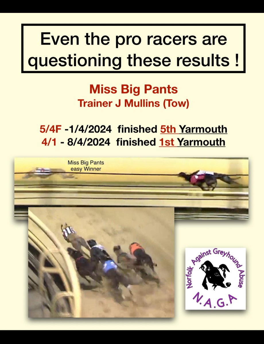Dodgy results at Yarmouth? Even the pros are doubting… 🤔#AnimalCruelty #bangreyhoundracing #cutthechase #DontRaceEmbrace #unboundthehound #youbettheydie