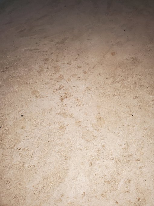 この間の射精禁止期間同士の隙間1分に自宅の駐車場で思い切り射精したんだけど、その時の射精跡がくっきり&hellip; 跡を見るたびに「ここで全裸露出しながらオナニーして射精したんだ&hellip;」って記憶が蘇るやつ https://t<a href="/tag/myxanniversary"class="tags"><span>#myxanniversary</span></a>