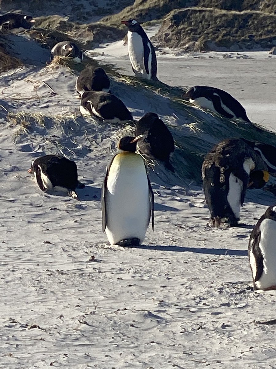 Another quiet day in the south Atlantic