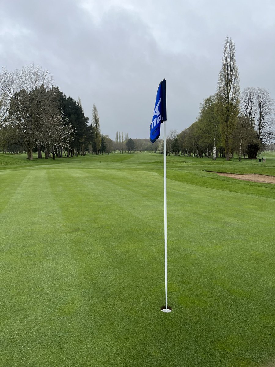 Dale ‘Golf Geek’ tweet media