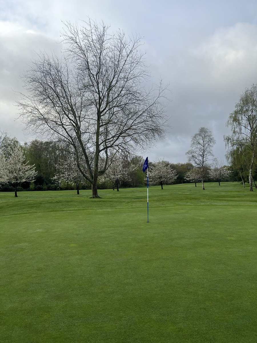 Dale ‘Golf Geek’ tweet media