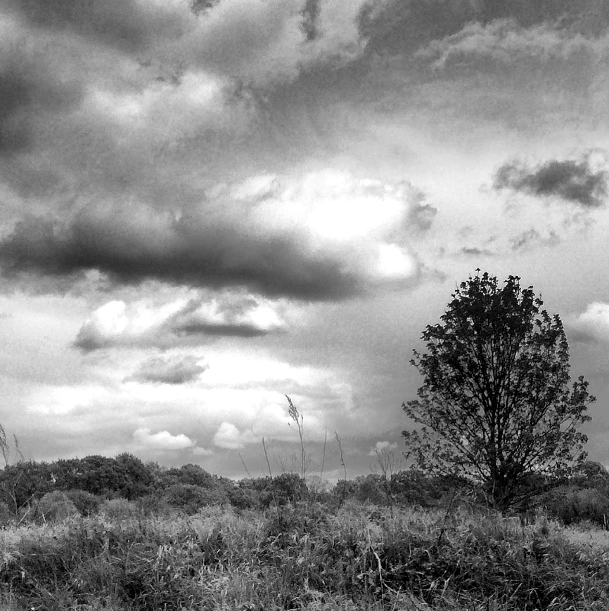 Some can navigate their parish by birdsong, some by sigh and snort of wind as it bullies the common. The cunning can make a path through conversation with spirits. A chattering map of genii locorum, a topography of secrets and whispers. – #CLNolan