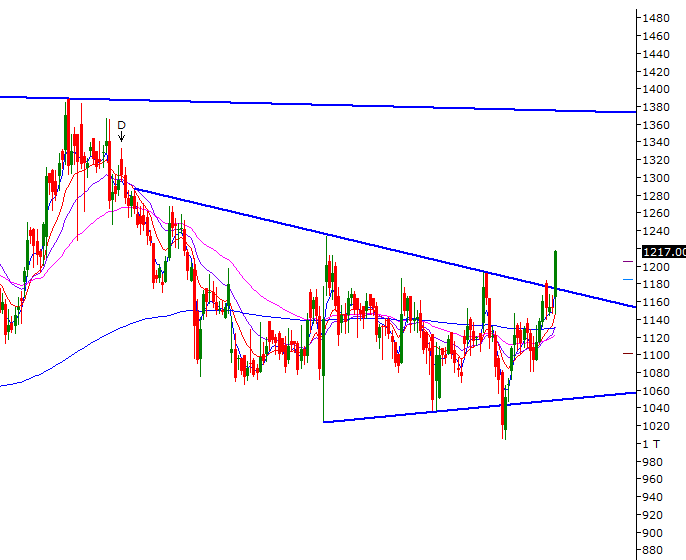 AMIORG - DAILY

Bought at 1210 stoploss 1150..

Pattern targets 1360-1380